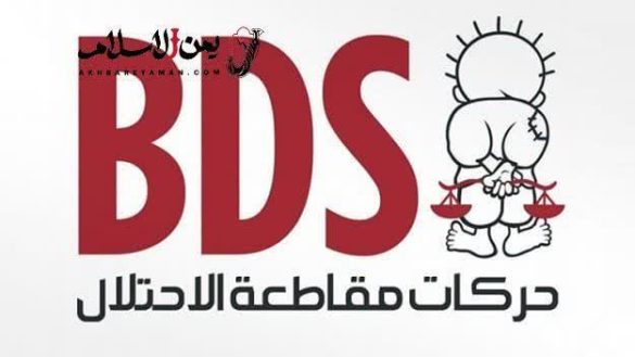 IMG 20250511 141736 826