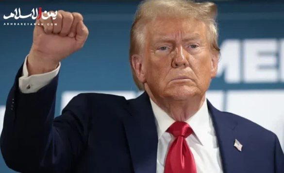 photo 2025 05 07 12 04 41