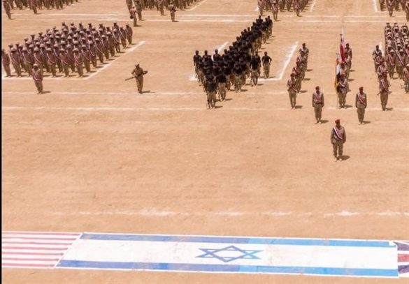 1403021711164519729964194