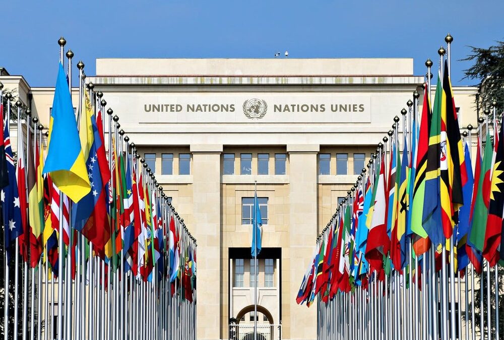 سازمان ملل متحد.