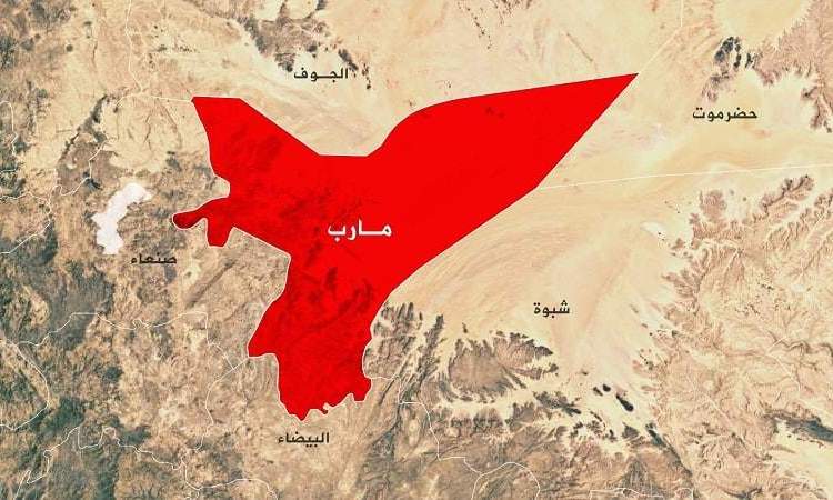 تحولات جبهه مأرب.