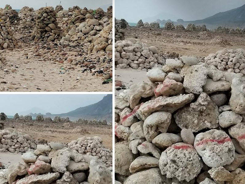 سرقت سنگ های مرجانی یمن توسط امارات.