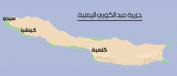 جزیره عبدالکوری.
