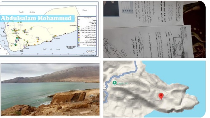 افشای پشت پرده تصاحب بزرگترین معدن فلزات سنگین یمن.